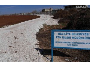 Haliliye Belediyesi Kırsal Mahallelerde Yeni Yollar Yapıyor