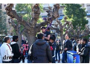 Atina'nın merkezinde Suriyeli 2 mülteci kendini ağaca astı
