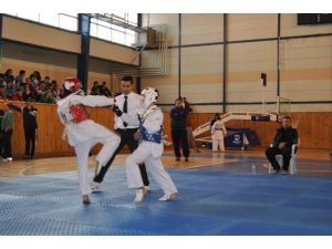 Analig Taekwondo Yarı Final Maçları Nevşehir’de Başladı