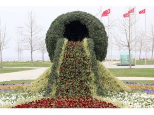 Dünyanın En Büyük Çiçek Şelalesi Yalova’da Yapıldı