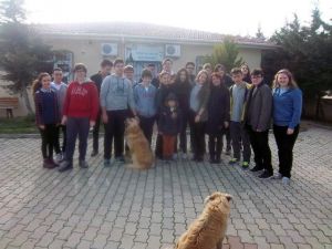 Sokak Hayvanları Geçici Bakımevi’ne Öğrencilerden Ziyaret