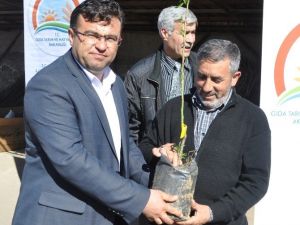 Aksaray’da Çiftçilere 10 Bin 100 Adet Meyve Fidanı Dağıtıldı