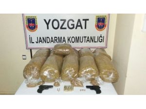 Yozgat Jandarma 55 Kg Kaçak Tütün Yakaladı