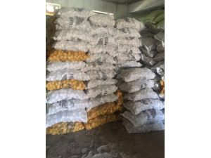 Üreticiye “Sertifikalı Patates Tohumu” Desteği