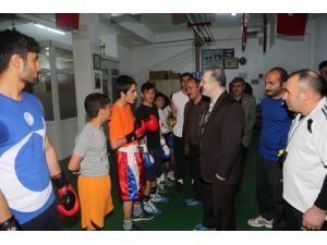 Tuşba Belediyesi Sporcularından Büyük Başarı