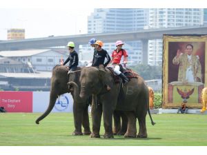 2016 Fil Polo Turnuvası Tayland'da başladı