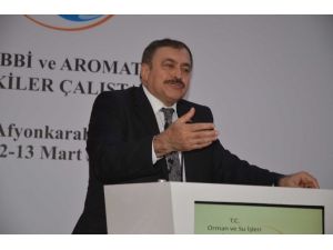 Bakan Eroğlu, ’Tıbbi Ve Aromatik Bitkiler Çalıştayı’na Katıldı
