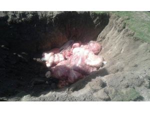 Ereğli’de 200 Kilo Kaçak Tavuk ETİ İmha Edildi
