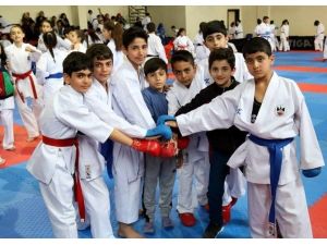 Diyarbekirsporlu Karatecilerden Büyük Başarı