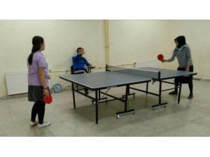 Koyulhisar’da Okullar Arası Masa Tenisi Turnuvası Düzenlendi