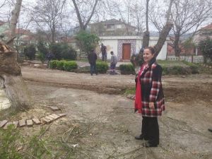 Saltukova’da Aile Çay Bahçesi Temizlik Ve Restorasyon Çalışmaları Devam Ediyor