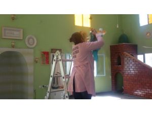 Reyhanlı Belediyesi Destek Hizmetleri Camileri Temizliyor