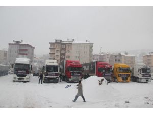 Türkmenlere 8 TIR un ve patates gönderildi