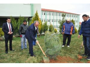Ahi Evran Üniversitesi’nde ağaçlandırma seferberliği