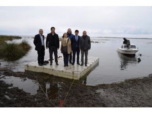 Kızılırmak Deltası Kuş Cenneti'ne gelen leyleklerin göç haritası çıkarılacak