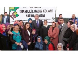AK Parti’li Temurci: “Dünyadaki Her Bir İnsan İçin 7 Milyar Fidan Hedefliyoruz”
