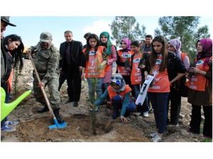 Kilis’te Jandarma, Köy Korucuları Ve Çevrecilerle Birlikte Fidan Dikti