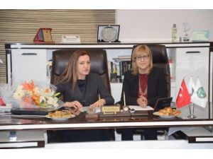 AK Parti Genel Başkan Yardımcısı Hotar: "720 Bin Taşeron İşçi Kadroya Geçecek"