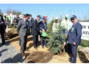 Zonguldak’ta Ağaç Bayramı Töreni Düzenlendi