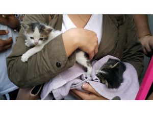 İtfaiyeden Sıradışı Kedi Kurtarma Operasyonu