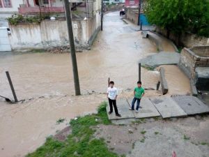 Nusaybin'in Duruca Mahallesi'ndeki birçok evi su bastı