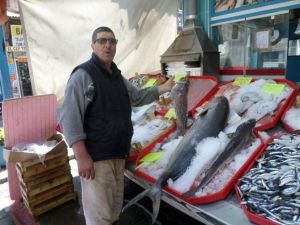 Mudanyalı Balıkçı Birbirinden İlginç Balıkları Sergiliyor