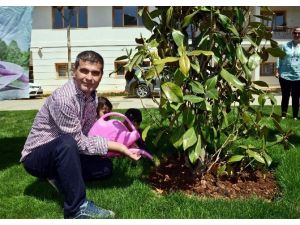 Çift Kol Nakilli Mustafa Sağır, EXPO 2016 Alanına Ağaç Dikti