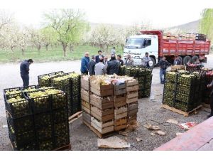 Yahyalı’dan Nusaybin’deki Güvenlik Güçlerine 20 Ton Elma