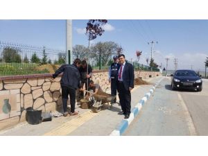 Pazaryeri Belediyesi Ağaçlandırma Çalışmaları Devam Ediyor