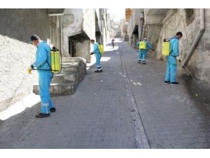 Eyyübiye Belediyesi İlaçlama Çalışmalarını Sürdürüyor