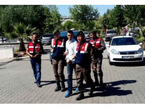 Aydın’da Arama Noktasında Terörist Yakalandı