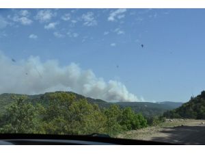 Dursunbey’deki Orman Yangını Sürüyor