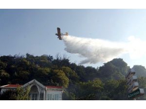Orman Ve Su İşleri Bakanlığı Yangınlarla Mücadeleye Hazır