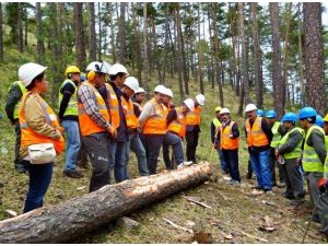 Akdağmadeni Orman İşletme Müdürlüğü’nde Standardizasyon Eğitimi