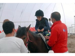 Atlar, Engelli Çocukların Umudu Oldu