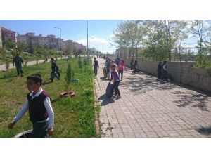 Beyşehir’de Fidanları Atık Araç Lastikleri Koruyacak