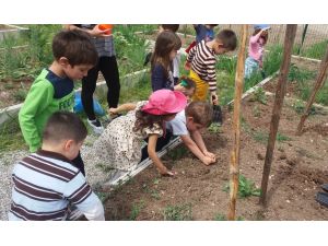 Minikler, sebze yetiştiriciliği kurslarını ziyaret etti