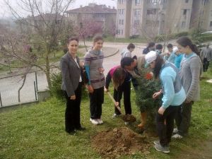 Okullarda Ağaçlandırma Çalışmaları Başlıyor