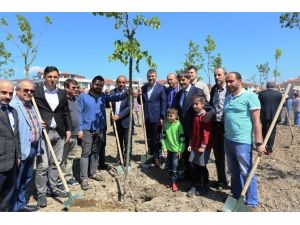 Başkan Alemdar Proje Kapsamında ‘Bir Ağaç Dik, Bir Nesli Kurtar’ Sloganıyla Fidan Dikti