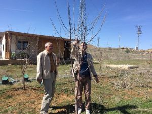Çiftçilere Uygulamalı Ağaç Budama Eğitimi