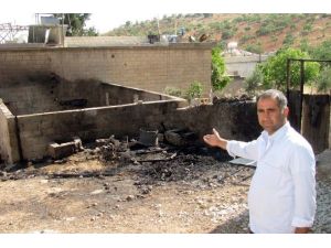 Gaziantep’te Ahır Yangını: 3 Hayvan Telef Oldu