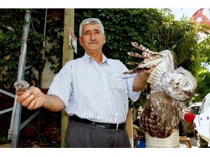 Kuşlar Trafoyu Patlattı, Mahalle Elektriksiz Kaldı