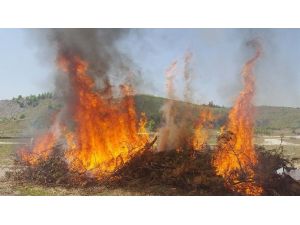 Orman Yangını Tatbikatı Gerçeği Aratmadı