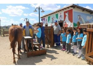 Çorlu Hayvanat Bahçesi İlgi Görüyor