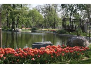 İstanbul’da En Çok Park Kağıthane’de