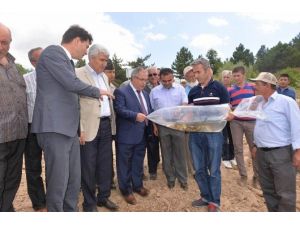 Sekiören Göleti’ne sazan yavruları bırakıldı