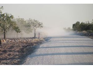 Araban’da Antep Fıstığı toz tehdidi altında