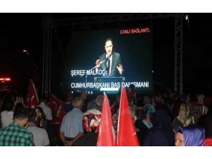 Cumhurbaşkanı Başdanışmanı Şeref Malkoç: “FETÖ en büyük zararı, İslam dinine verdi”