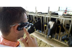 Hayvancılık sektöründeki zararlar akılı gözlüklerle tespit edilecek