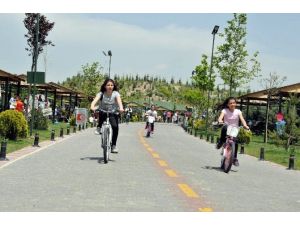 Piknik severlerin tercihi Kartaltepe Kent Ormanı